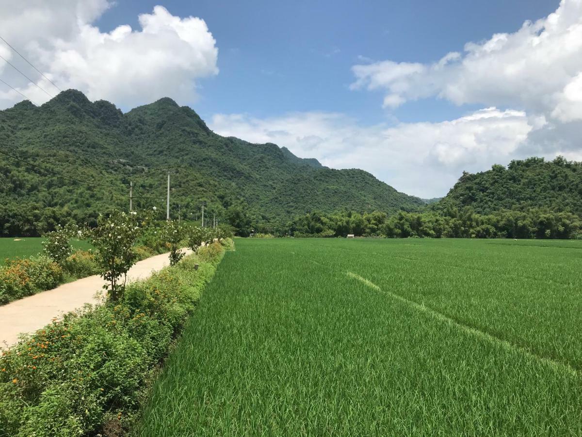 Отель Jomo House Mai Chau Hoa Binh Экстерьер фото