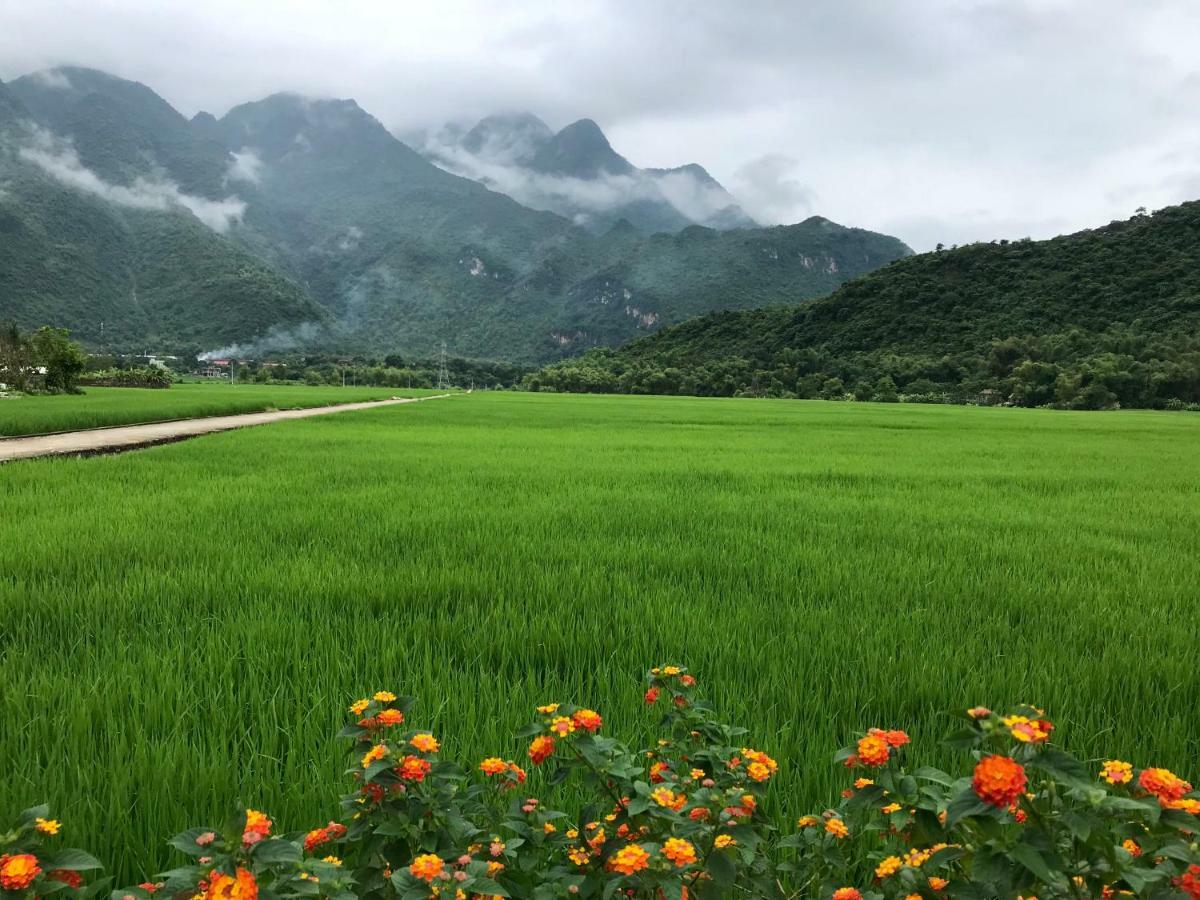 Отель Jomo House Mai Chau Hoa Binh Экстерьер фото