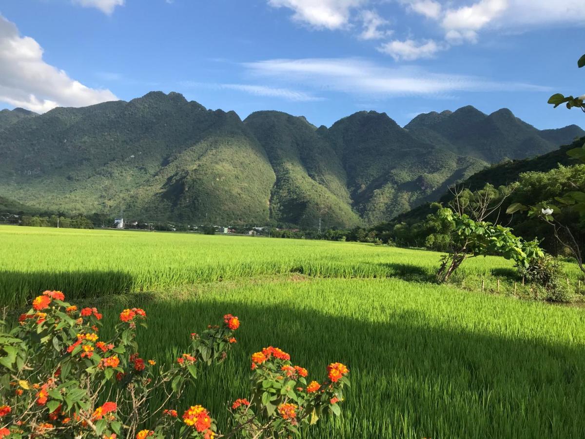 Отель Jomo House Mai Chau Hoa Binh Экстерьер фото