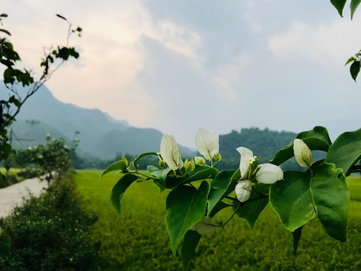 Отель Jomo House Mai Chau Hoa Binh Экстерьер фото